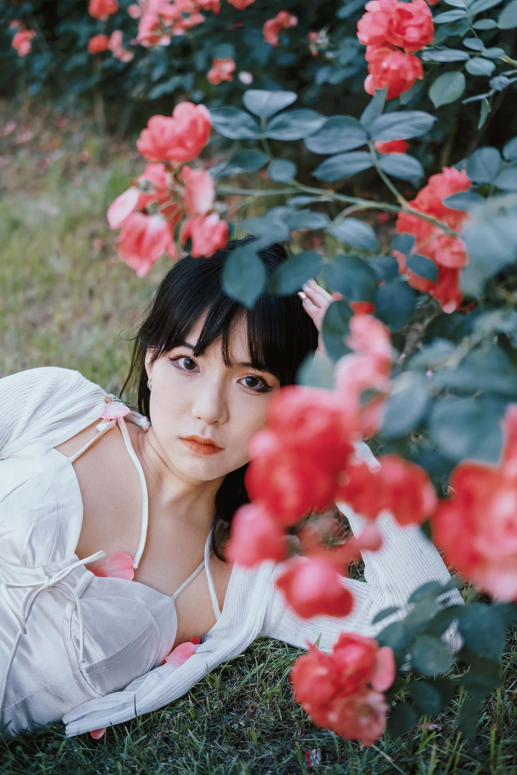 [艺图语] 2022.06.10 蔷薇花下 依依 [25P]插图1